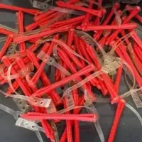 بیگودی فر ریز