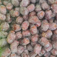 خرما شیره|خوردنی و آشامیدنی|منوجان, |دیوار
