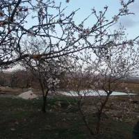 یک-هکتارباغ-با-استخر-11-times-15-times-2ودارای-مجوزساخت