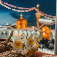 تور داخلی مشهد مقدس