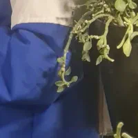 یک یک دست کت شلوار و کاپشین در محدود راور گمشده