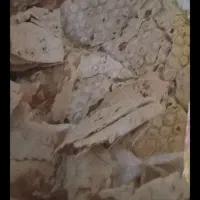 نان خشک.تمیز وعالی|خوردنی و آشامیدنی|شوشتر, |دیوار