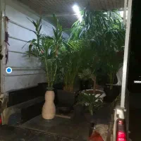 حمل بار وانت پیکان مسقف به تمام نقاط کشور|خدمات حمل و نقل|رشت, پیرسرا|دیوار