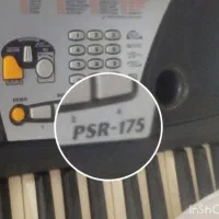 فروش و معاوضه با طوطی سانان هم قیمت|پیانو، کیبورد، آکاردئون|اردبیل, |دیوار