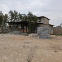 پرواری بندی گوساله 300راسی|فروش دفتر صنعتی، کشاورزی، تجاری|برازجان, |دیوار