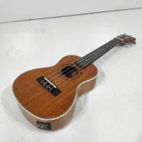 یوکوللی اسکای وینگ UK-24TH SkyWing