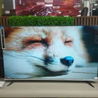 تلویزیون|تلویزیون و پروژکتور|ارومیه, |دیوار