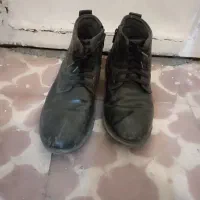 بوت مردانه|کیف، کفش، کمربند|مراغه, |دیوار