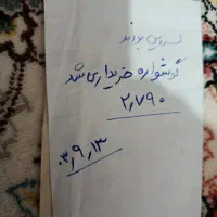 گوشواره  پلاک زنجیر|جواهرات|اهواز, سیصد دستگاه|دیوار