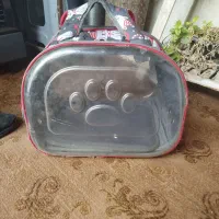 باکس سگ و گربه