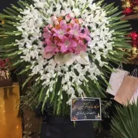 تاج گل ختم|گل و گیاه طبیعی|تبریز, |دیوار