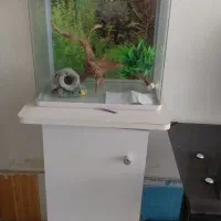 اکواریوم سالم