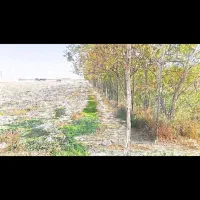 فروش-زمین-مزروعی
