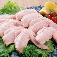 فروش ویژه کتف و بال