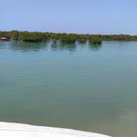 تو سیاحتی شاد شاد شمال  5 روزه