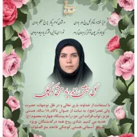 استخدام طراح گرافیک خانم و تولید کننده محتوای خانم|استخدام رایانه و فناوری اطلاعات|قم, چهل درخت‎|دیوار