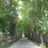 حمیدیه تهاتر