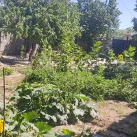 فروش خونه باغ بهترین منطقه خوش آب وهوا|فروش خانه و ویلا|لاله زار, |دیوار