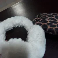 کلاه و گوشگیر نو نو|لباس|بروجرد, |دیوار