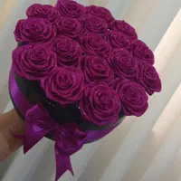 انواع باکس روبانی