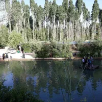 توریکروزه بانوان سربست
