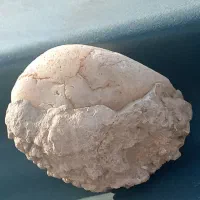 سنگهای طبیعی|جواهرات|پرند, فاز ۴|دیوار