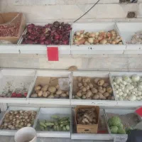 قفسه جای میوه و غیره