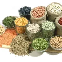 بازاریاب مواد غذایی