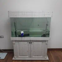 آکواریوم شیشه خم کابینت دار نئو کلاسیک با لوازم