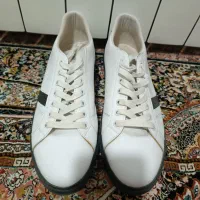 کتاتی|کیف، کفش، کمربند|کرمان, |دیوار