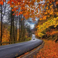 جویای کار هستم