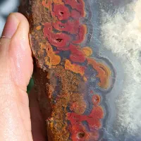 ۳۰قطعه عقیق شجر