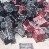 خرید سبد و کارتن موز|عمدهفروشی|کرمانشاه, |دیوار