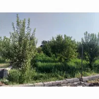 باغ نقلی ۵۴۵ متر باسند تک برگ نیم دانگ|فروش زمین و ملک کلنگی|ایواوغلی, |دیوار