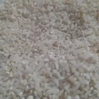 نیم دانه هاشمی