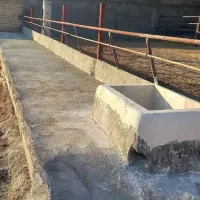 اجاره گاوداری بزرگ و مجهز|اجارهٔ دفتر صنعتی، کشاورزی، تجاری|مرودشت, محمد آباد|دیوار