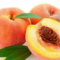 پیش فروش نهال هلو ردهاون