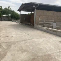 دامداری گاوداری صنعتی باغ|فروش دفتر صنعتی، کشاورزی، تجاری|جوادآباد, |دیوار