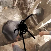 استا کار سیمان زنی سفید و سیاه دیوار چینی و...|خدمات پیشه و مهارت|تربت جام, عیدی آباد|دیوار