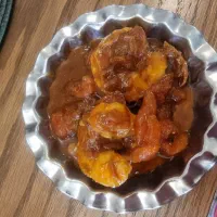 غذای خانگی برای ارگان ها