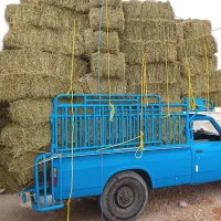 یونجه درجه یک
