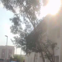 هرس فرم و سربرداری