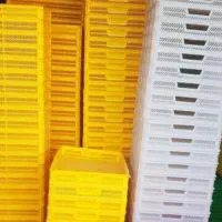 سبدماکارونی.سبد ذغال. سبد میوه خشک کن. پالت میوه|عمدهفروشی|تهران, یافتآباد|دیوار