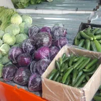 واگذاری مغازه میوه فروشی زیباشهر|اجارهٔ مغازه و غرفه|محمدیه-قزوین, |دیوار