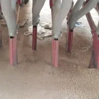 گندمکار زراعت همدان ۱۷ ردیفه|ماشین‌آلات صنعتی|جوین, |دیوار