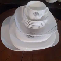 ظروف چین بال آرکوپال