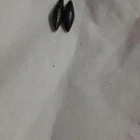 مهره اصل