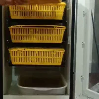 دستگاه جوجه کشی|لوازم جانبی حیوانات|جیرفت, |دیوار