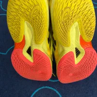 کتونی|کیف، کفش، کمربند|رامسر, |دیوار