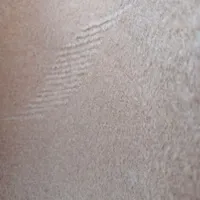 موکت درجه یک